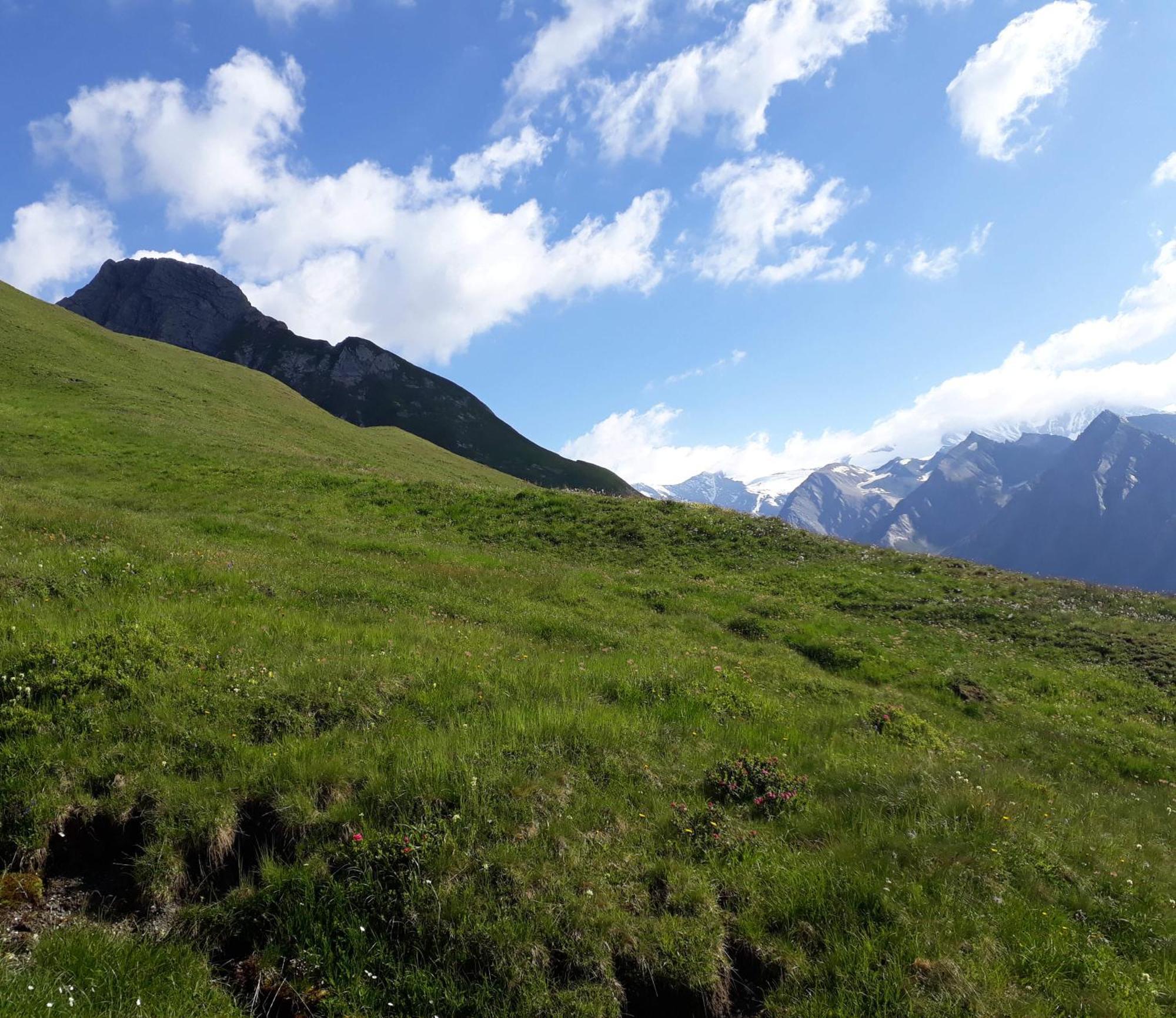 Sonnenhof Apartment Kals am Grossglockner Exterior photo